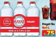 HAYAT SU 6X1 L fiyat ve kampanya bilgisi